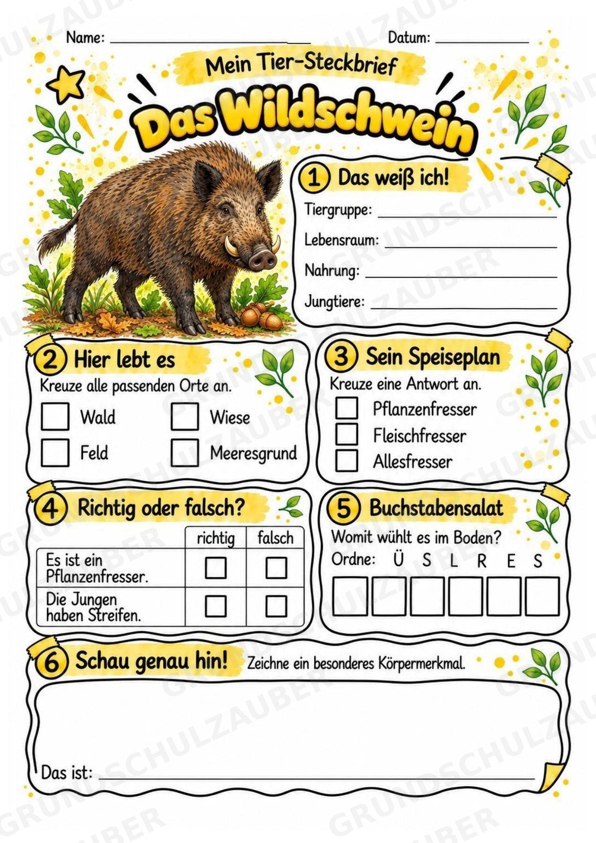 Wildschwein - Lesetext & Steckbrief | Sachunterricht Tiere Grundschule – Materialseite 3