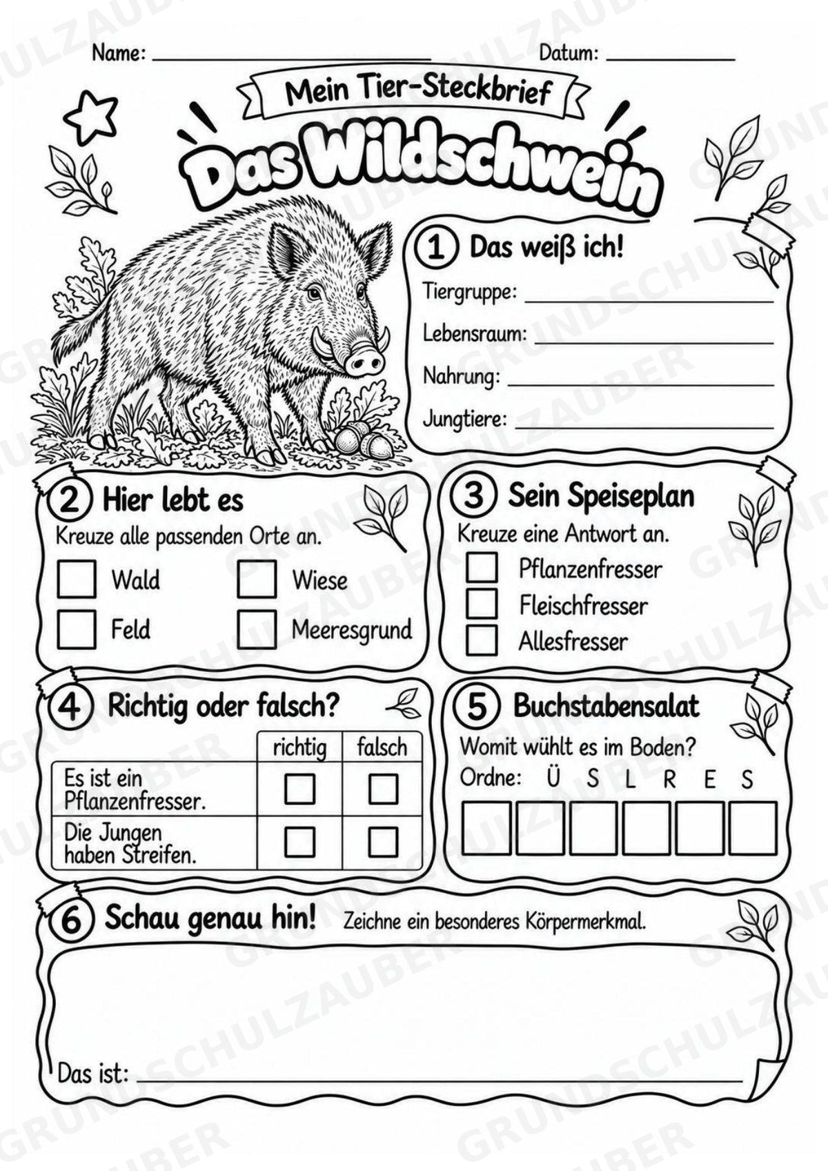 Wildschwein - Lesetext & Steckbrief | Sachunterricht Tiere Grundschule – Materialseite 4