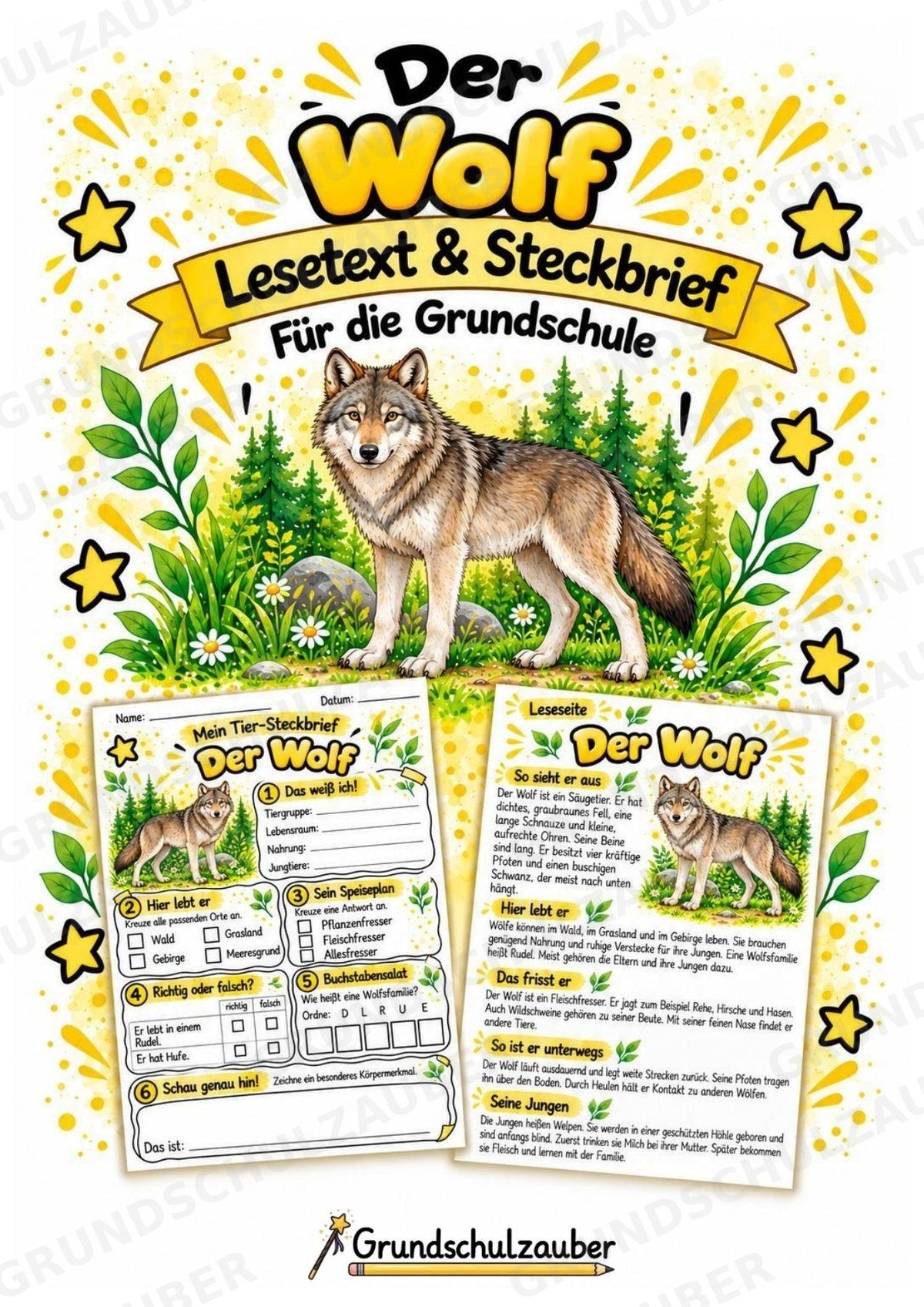 Wolf - Lesetext & Steckbrief | Sachunterricht Tiere Grundschule – Cover