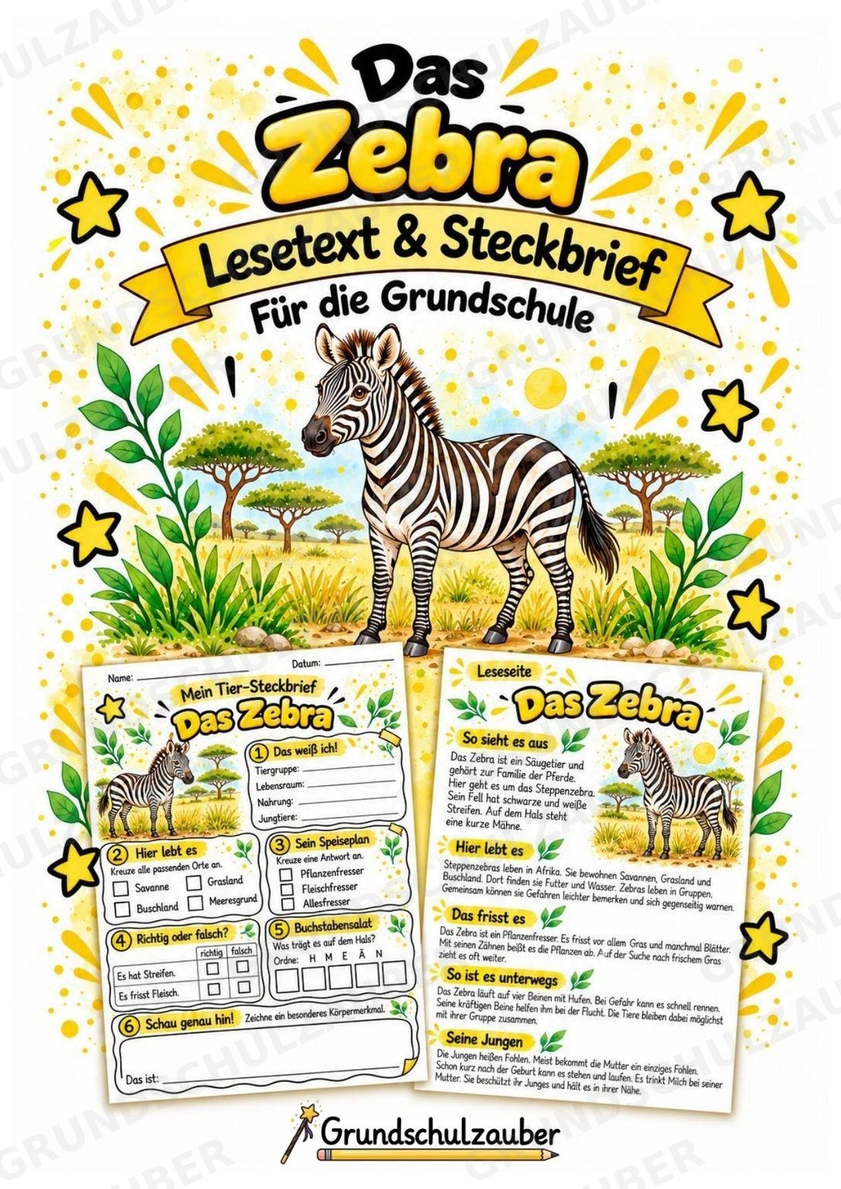 Zebra - Lesetext & Steckbrief | Sachunterricht Tiere Grundschule – Cover