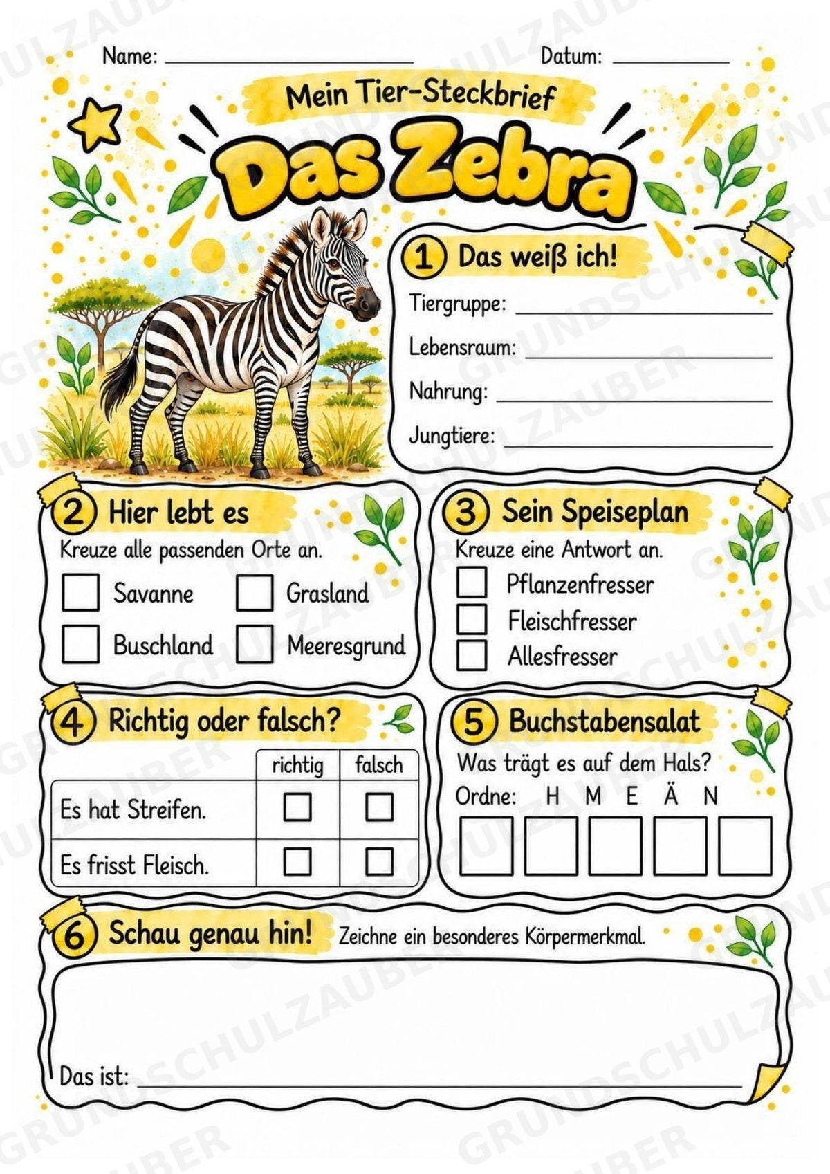 Zebra - Lesetext & Steckbrief | Sachunterricht Tiere Grundschule – Materialseite 3
