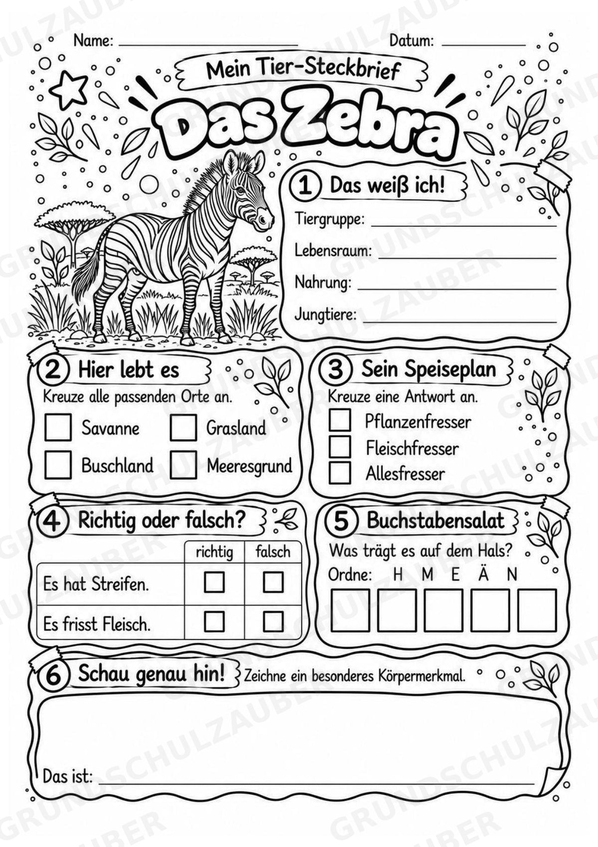 Zebra - Lesetext & Steckbrief | Sachunterricht Tiere Grundschule – Materialseite 4