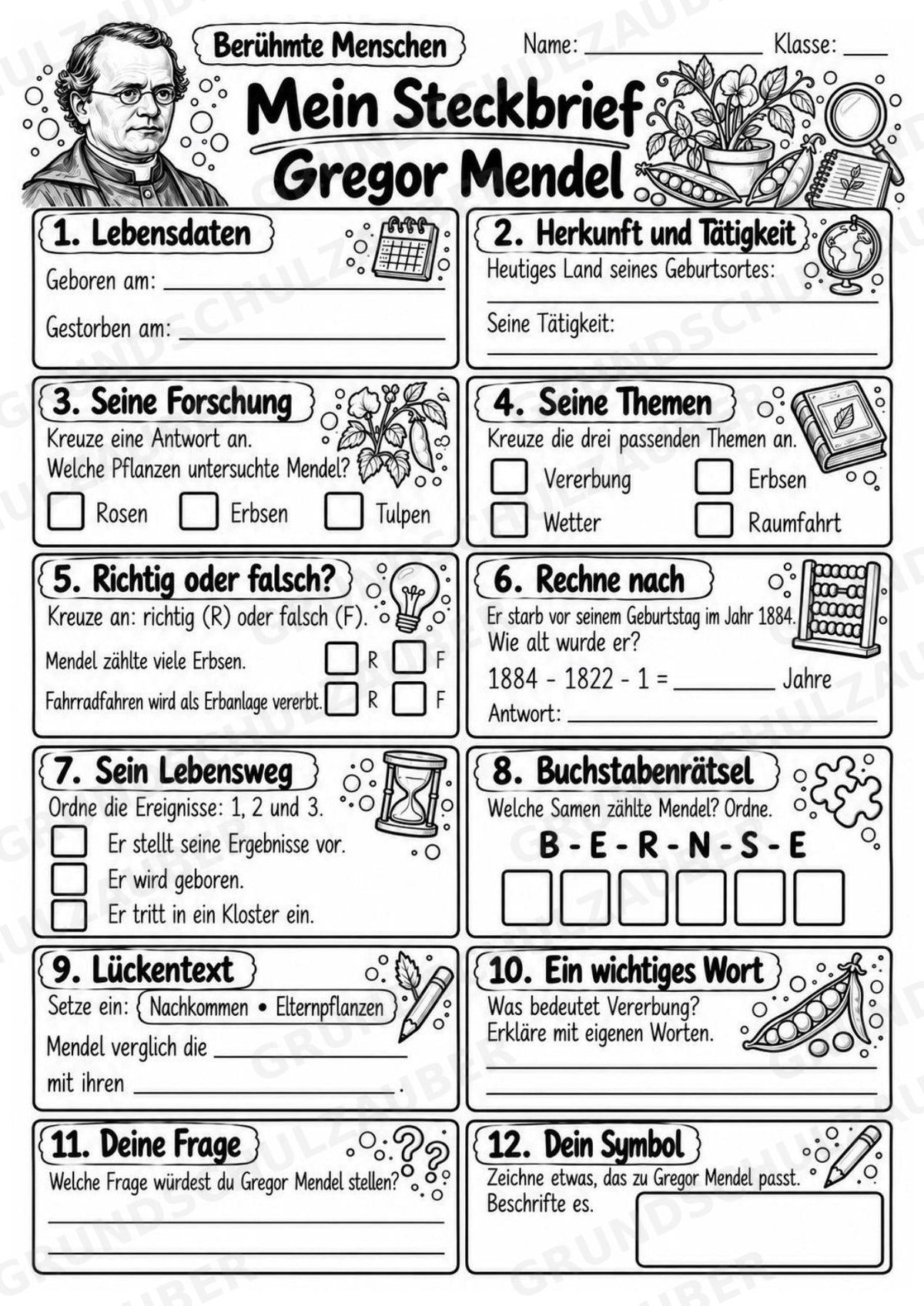 Gregor Mendel – Steckbrief & Infotext für die Grundschule | Berühmte Persönlichkeiten | Sachunterricht – Materialseite 4