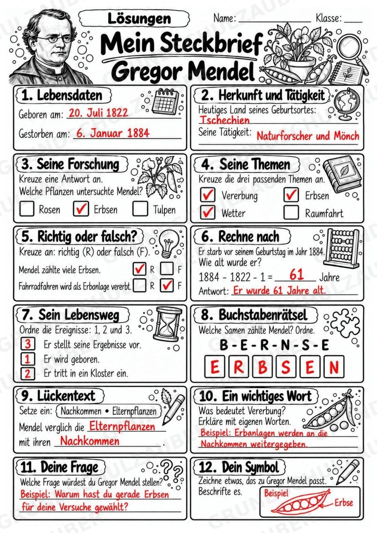 Gregor Mendel – Steckbrief & Infotext für die Grundschule | Berühmte Persönlichkeiten | Sachunterricht – Materialseite 5