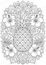 Ananas Mandalas Ausmalbilder – Obst – 15 Malvorlagen – Materialseite 2