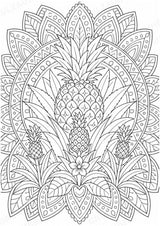 Ananas Mandalas Ausmalbilder – Obst – 15 Malvorlagen – Materialseite 10