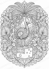 Australien Mandalas Ausmalbilder – Länder und Kulturen – 15 Malvorlagen – Materialseite 11