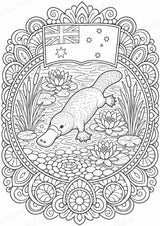 Australien Mandalas Ausmalbilder – Länder und Kulturen – 15 Malvorlagen – Materialseite 13