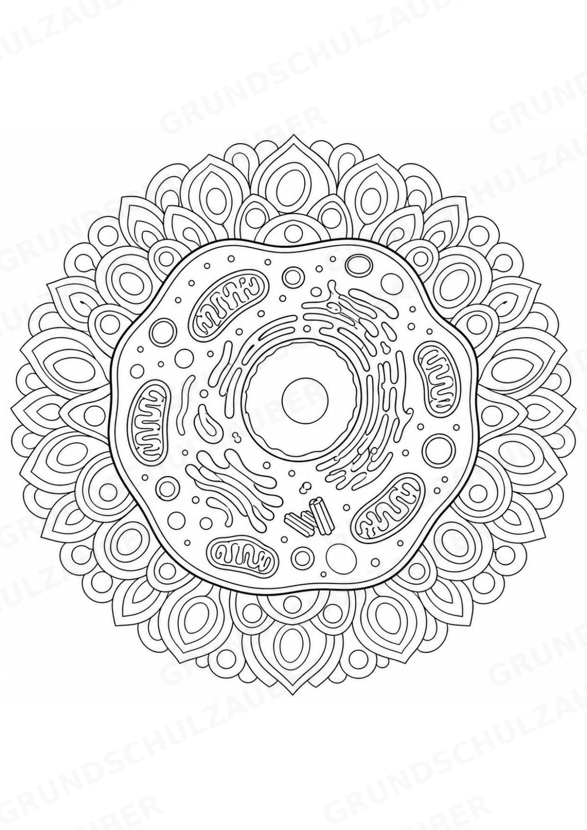 Biologie Mandalas Ausmalbilder – Bio – 15 Malvorlagen – Materialseite 3