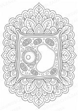 Biologie Mandalas Ausmalbilder – Bio – 15 Malvorlagen – Materialseite 4