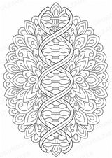 Biologie Mandalas Ausmalbilder – Bio – 15 Malvorlagen – Materialseite 5