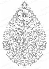 Biologie Mandalas Ausmalbilder – Bio – 15 Malvorlagen – Materialseite 6