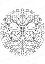 Biologie Mandalas Ausmalbilder – Bio – 15 Malvorlagen – Materialseite 7