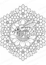 Biologie Mandalas Ausmalbilder – Bio – 15 Malvorlagen – Materialseite 8