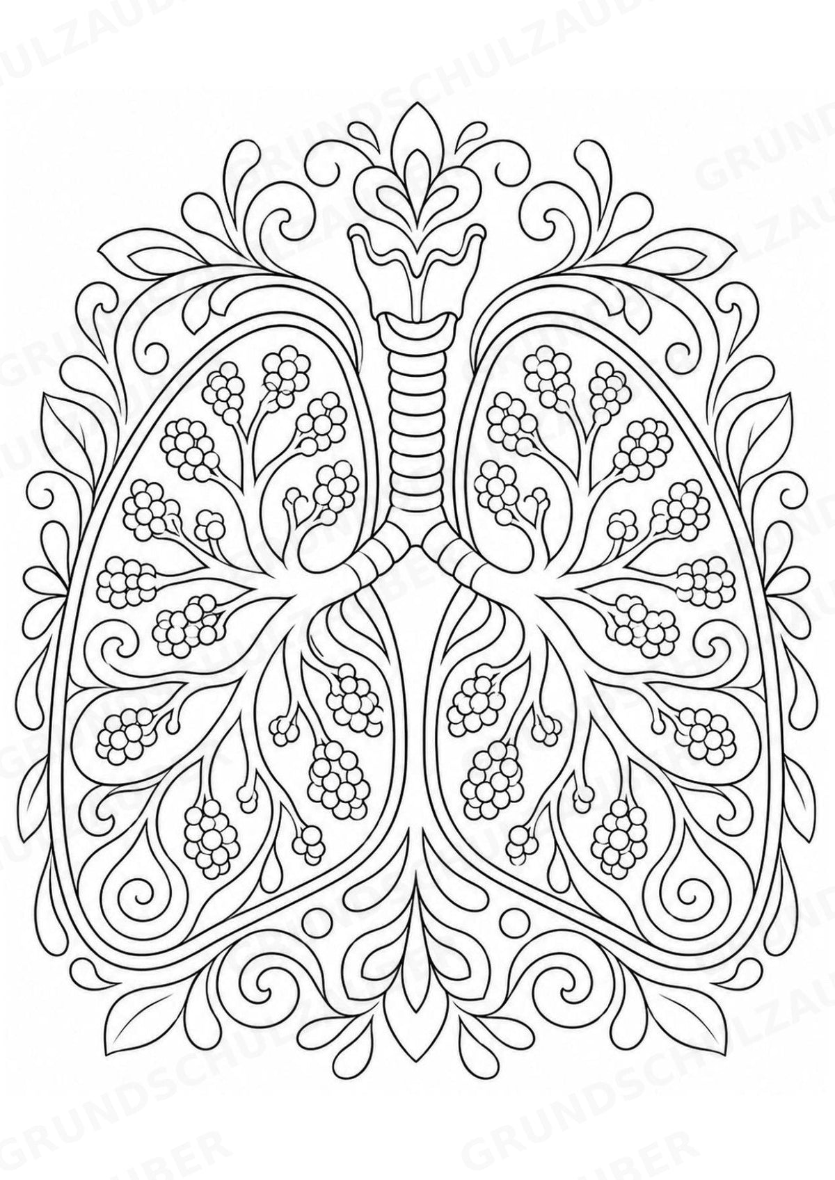 Biologie Mandalas Ausmalbilder – Bio – 15 Malvorlagen – Materialseite 10