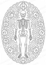 Biologie Mandalas Ausmalbilder – Bio – 15 Malvorlagen – Materialseite 11
