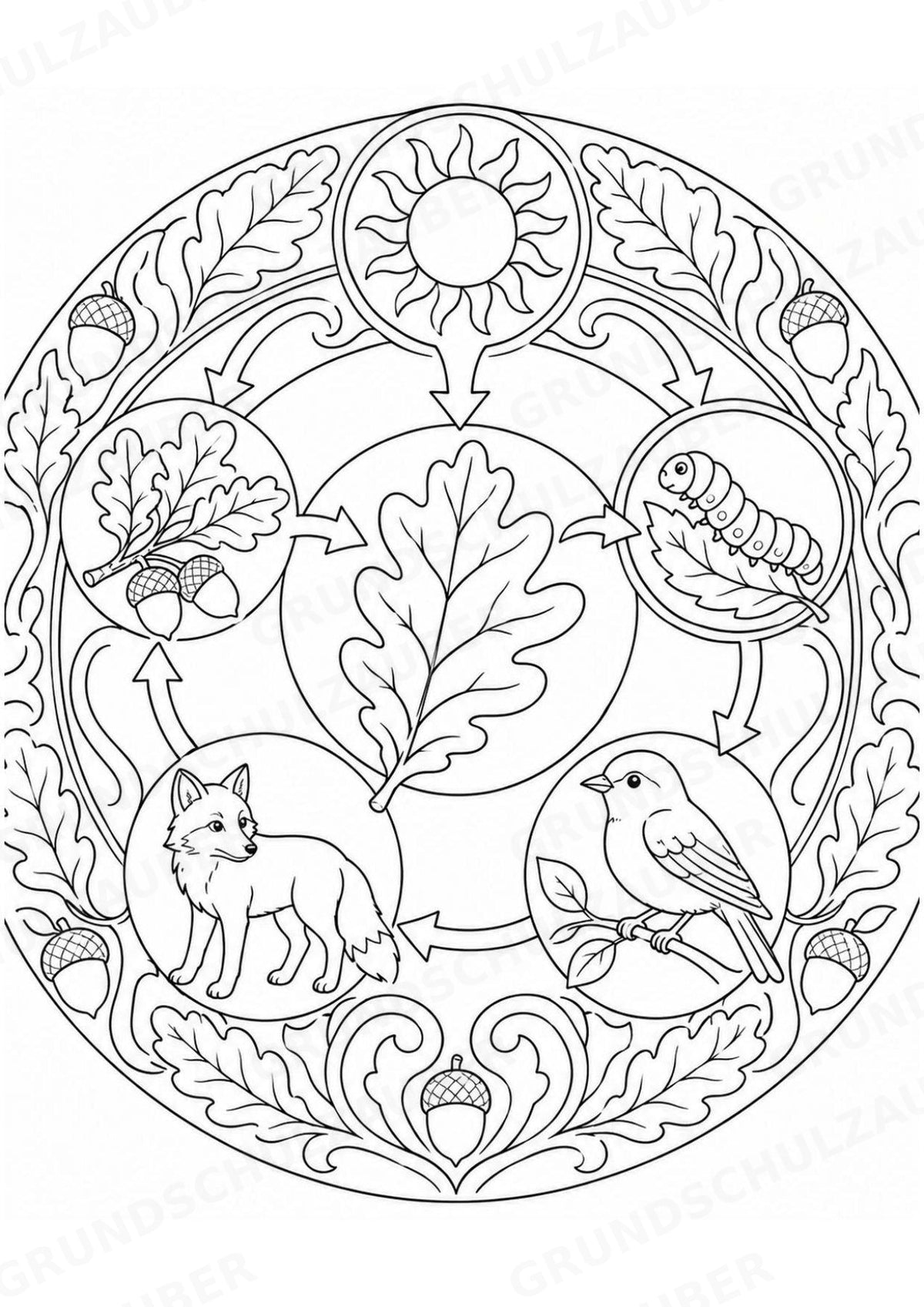 Biologie Mandalas Ausmalbilder – Bio – 15 Malvorlagen – Materialseite 15