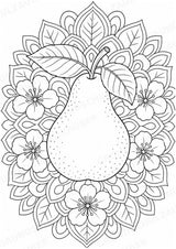 Birne Mandalas Ausmalbilder – Obst – 15 Malvorlagen – Materialseite 2