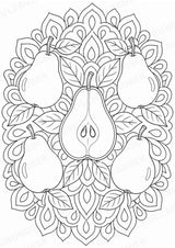 Birne Mandalas Ausmalbilder – Obst – 15 Malvorlagen – Materialseite 4