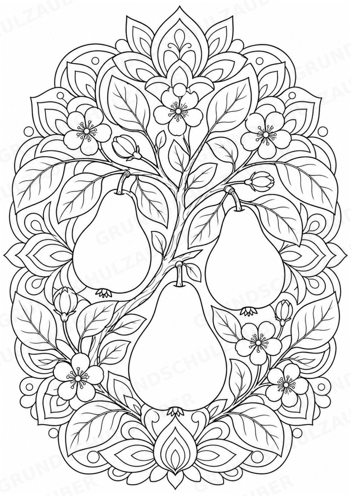 Birne Mandalas Ausmalbilder – Obst – 15 Malvorlagen – Materialseite 5