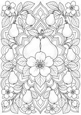 Birne Mandalas Ausmalbilder – Obst – 15 Malvorlagen – Materialseite 9