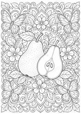 Birne Mandalas Ausmalbilder – Obst – 15 Malvorlagen – Materialseite 11