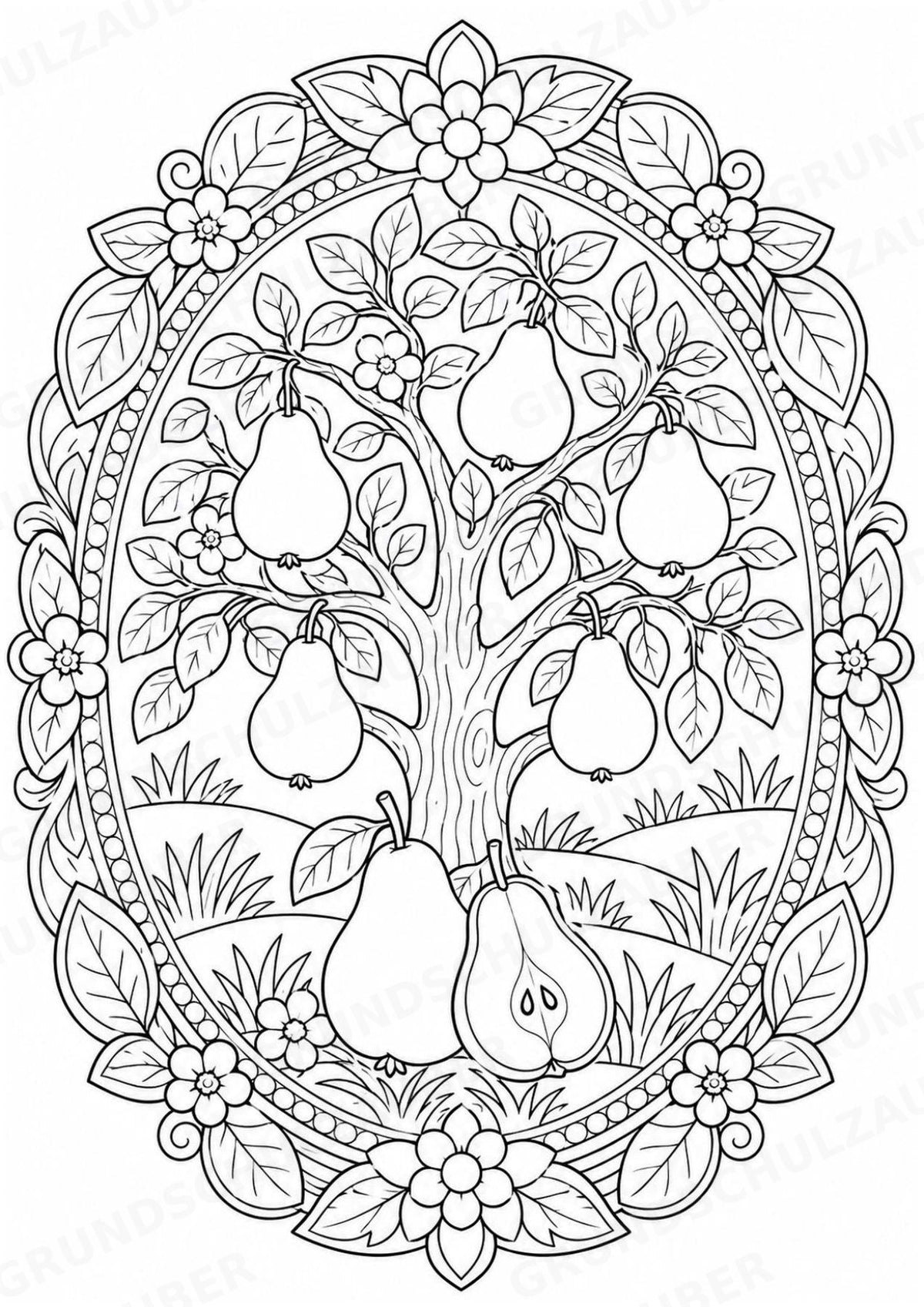 Birne Mandalas Ausmalbilder – Obst – 15 Malvorlagen – Materialseite 15