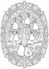 Birne Mandalas Ausmalbilder – Obst – 15 Malvorlagen – Materialseite 15