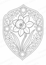Blumen Mandalas Ausmalbilder – Natur und Pflanzen – 15 Malvorlagen – Materialseite 11