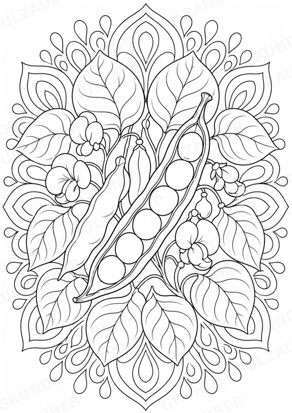 Bohnen Mandalas Ausmalbilder – Gemüse – 15 Malvorlagen – Materialseite 2