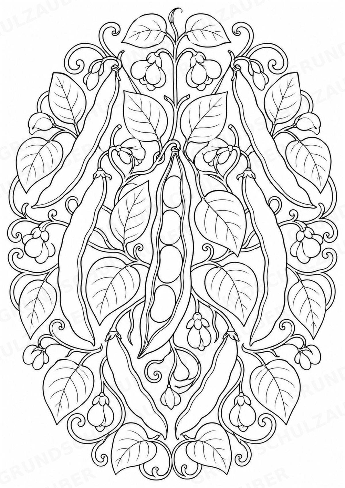 Bohnen Mandalas Ausmalbilder – Gemüse – 15 Malvorlagen – Materialseite 5