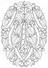 Bohnen Mandalas Ausmalbilder – Gemüse – 15 Malvorlagen – Materialseite 5