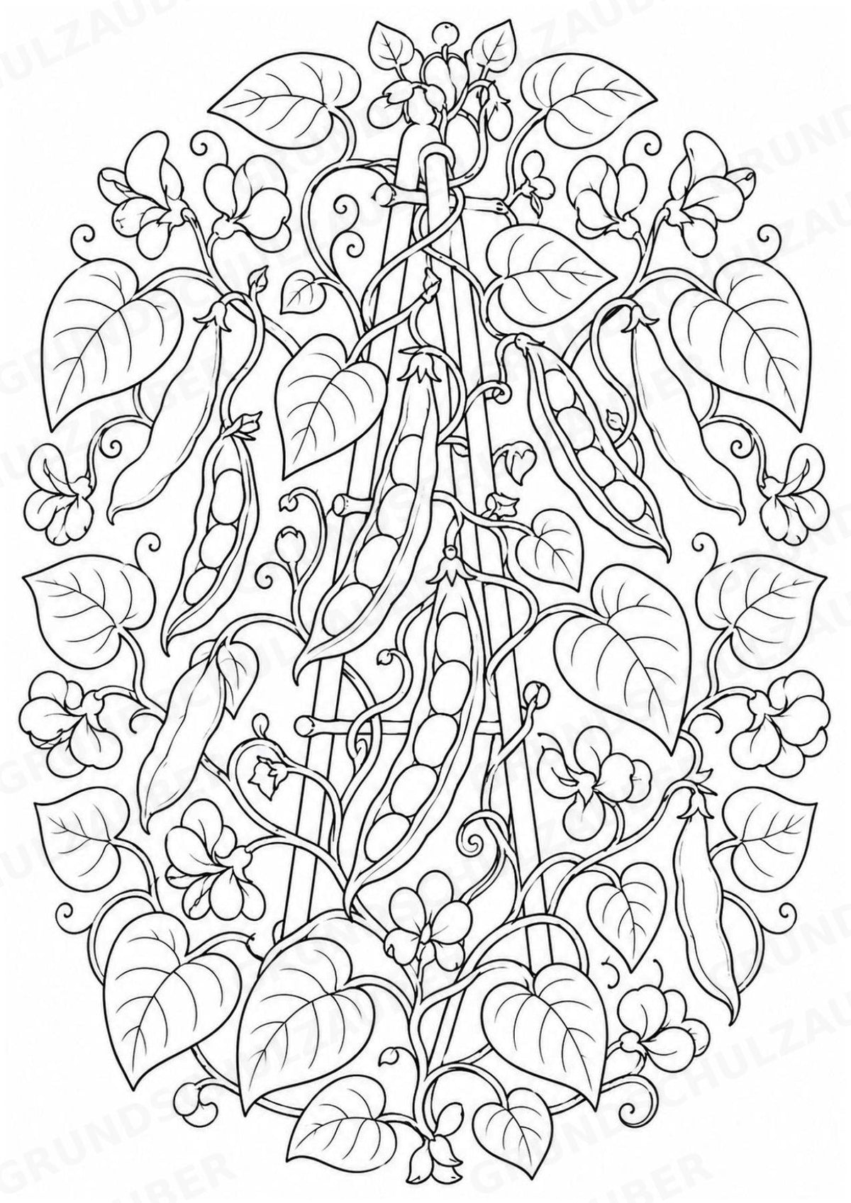 Bohnen Mandalas Ausmalbilder – Gemüse – 15 Malvorlagen – Materialseite 6