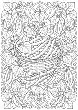 Bohnen Mandalas Ausmalbilder – Gemüse – 15 Malvorlagen – Materialseite 7