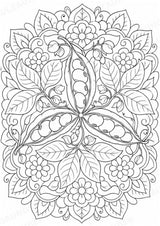Bohnen Mandalas Ausmalbilder – Gemüse – 15 Malvorlagen – Materialseite 8