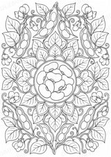 Bohnen Mandalas Ausmalbilder – Gemüse – 15 Malvorlagen – Materialseite 9