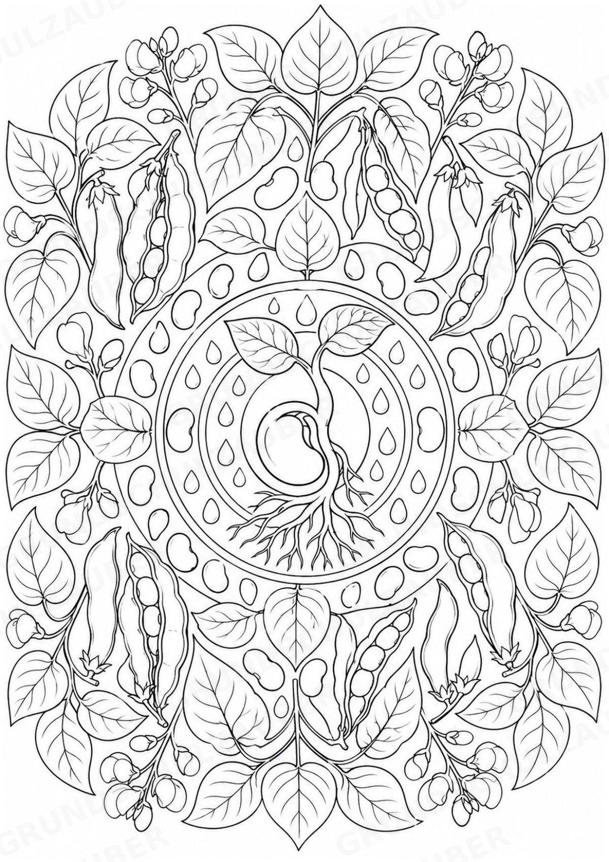 Bohnen Mandalas Ausmalbilder – Gemüse – 15 Malvorlagen – Materialseite 11