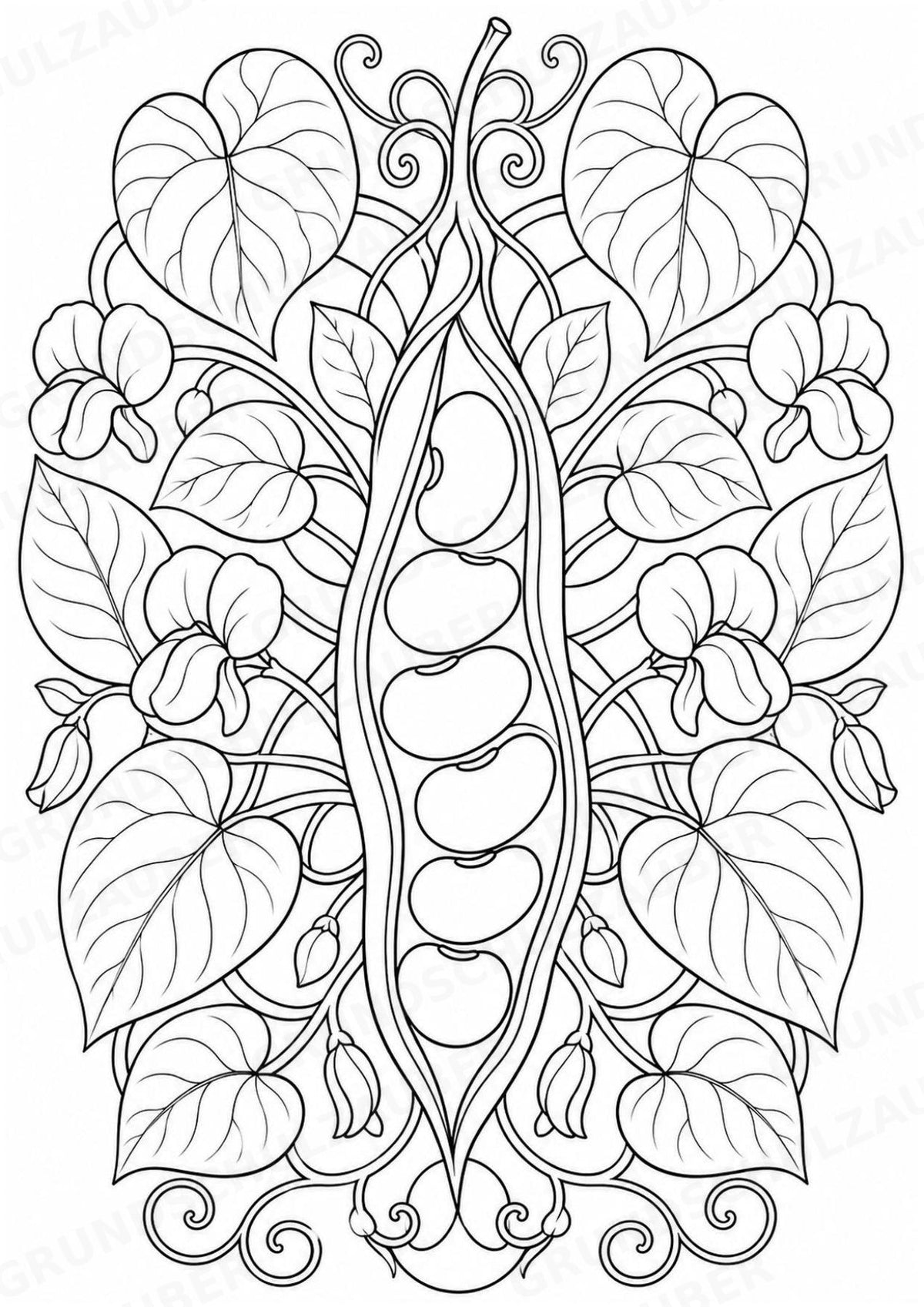 Bohnen Mandalas Ausmalbilder – Gemüse – 15 Malvorlagen – Materialseite 12
