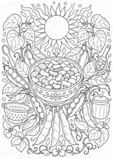 Bohnen Mandalas Ausmalbilder – Gemüse – 15 Malvorlagen – Materialseite 13