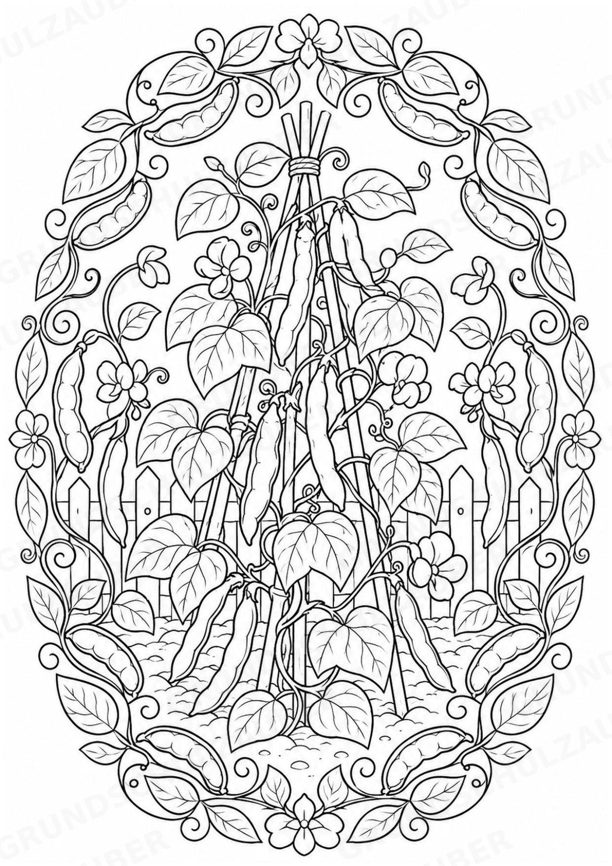 Bohnen Mandalas Ausmalbilder – Gemüse – 15 Malvorlagen – Materialseite 15