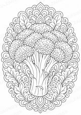 Brokkoli Mandalas Ausmalbilder – Gemüse – 15 Malvorlagen – Materialseite 2