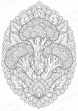 Brokkoli Mandalas Ausmalbilder – Gemüse – 15 Malvorlagen – Materialseite 4