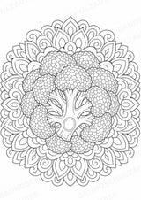 Brokkoli Mandalas Ausmalbilder – Gemüse – 15 Malvorlagen – Materialseite 5