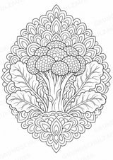 Brokkoli Mandalas Ausmalbilder – Gemüse – 15 Malvorlagen – Materialseite 6