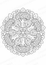 Brokkoli Mandalas Ausmalbilder – Gemüse – 15 Malvorlagen – Materialseite 7