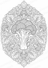 Brokkoli Mandalas Ausmalbilder – Gemüse – 15 Malvorlagen – Materialseite 16