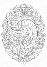 Chamäleon Mandalas Ausmalbilder – Tiere – 15 Malvorlagen – Materialseite 2