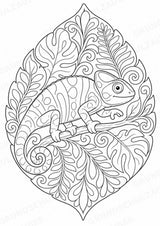 Chamäleon Mandalas Ausmalbilder – Tiere – 15 Malvorlagen – Materialseite 4