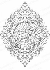 Chamäleon Mandalas Ausmalbilder – Tiere – 15 Malvorlagen – Materialseite 6