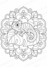Chamäleon Mandalas Ausmalbilder – Tiere – 15 Malvorlagen – Materialseite 10